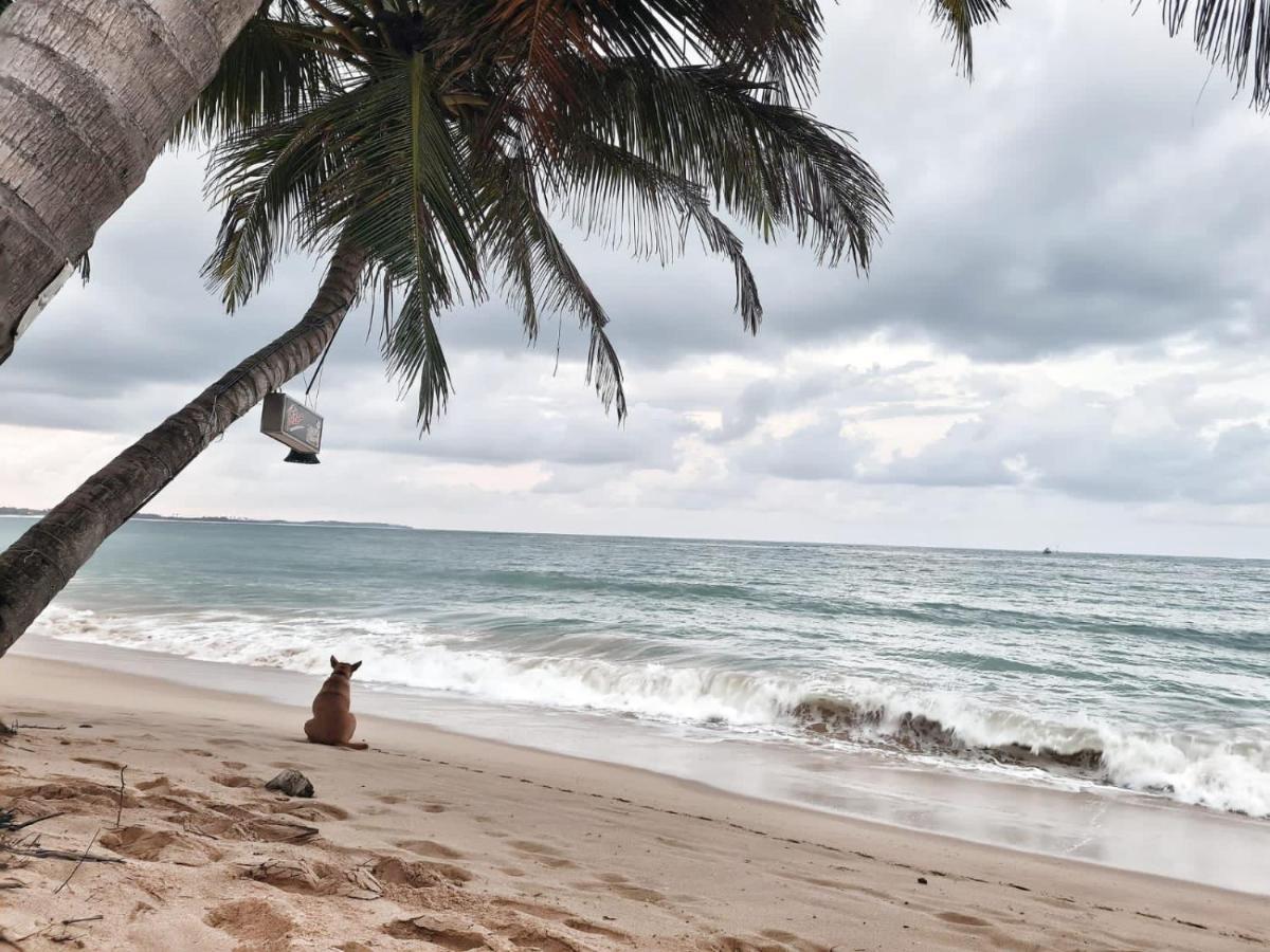 Frangipani Beach Villa Tangalle Eksteriør billede