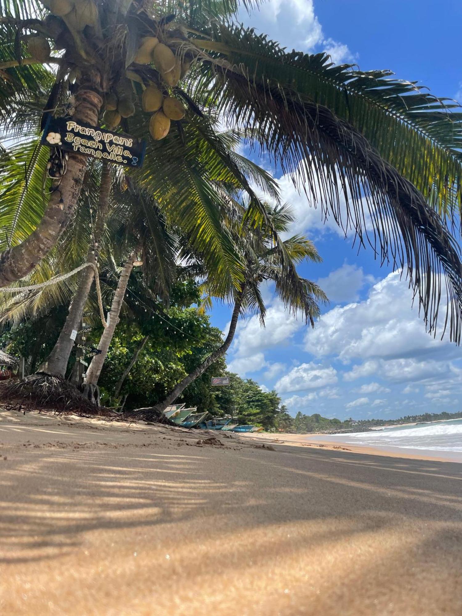 Frangipani Beach Villa Tangalle Eksteriør billede