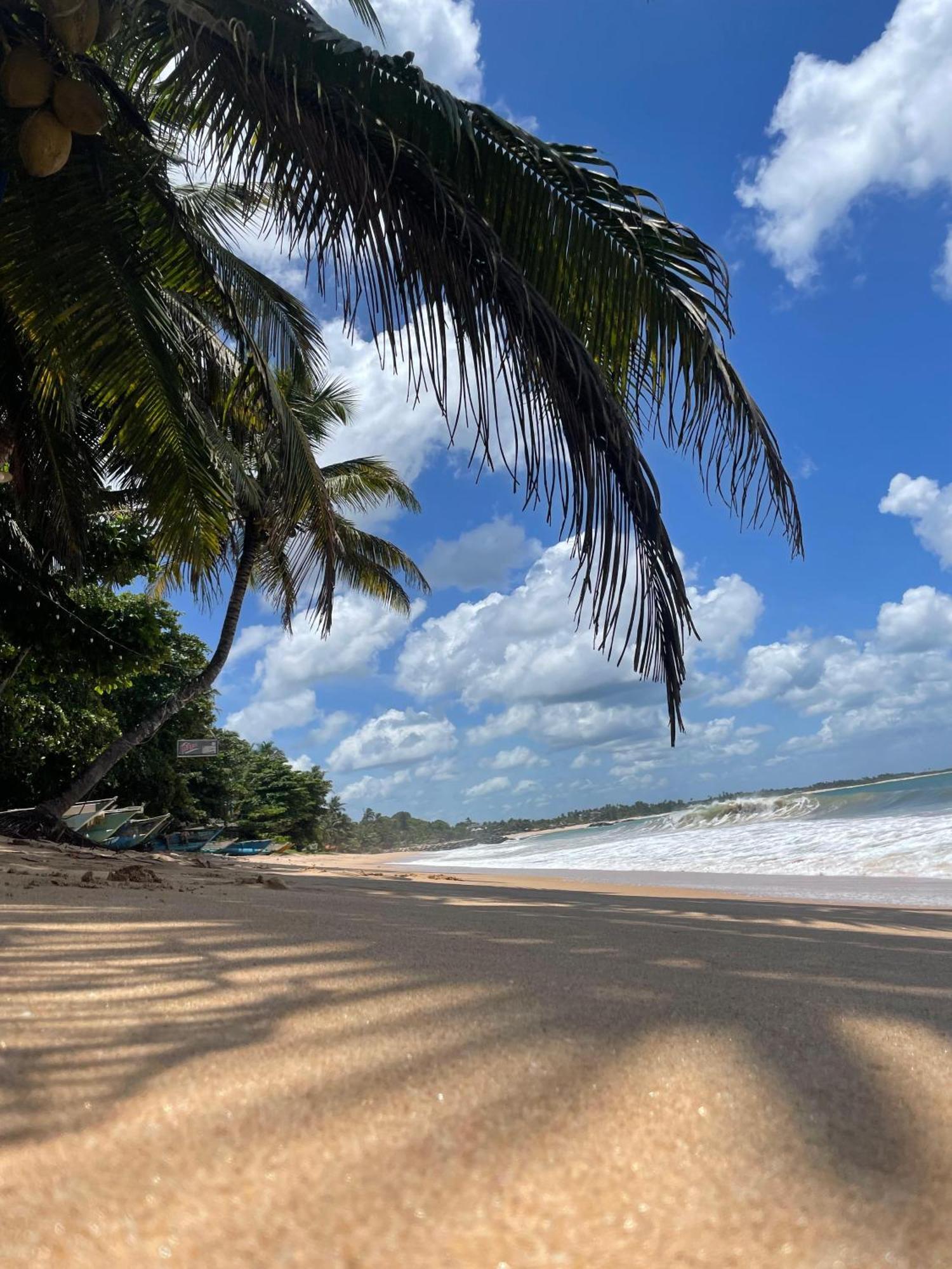 Frangipani Beach Villa Tangalle Eksteriør billede